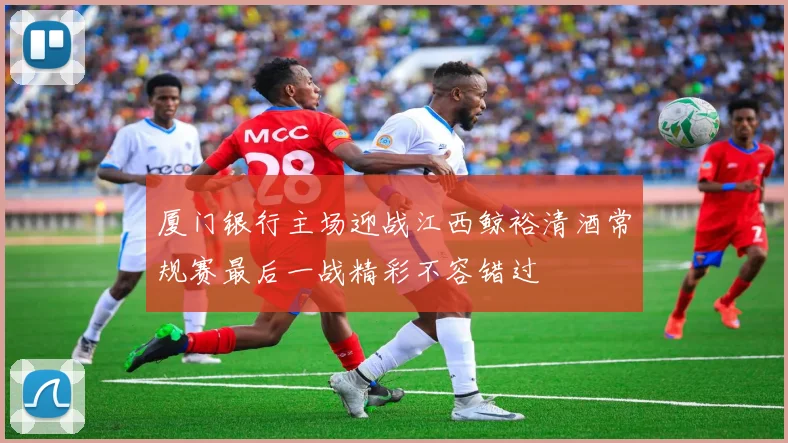 厦门银行主场迎战江西鲸裕清酒常规赛最后一战精彩不容错过