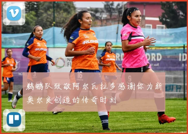 鹈鹕队致敬阿尔瓦拉多感谢你为新奥尔良创造的传奇时刻